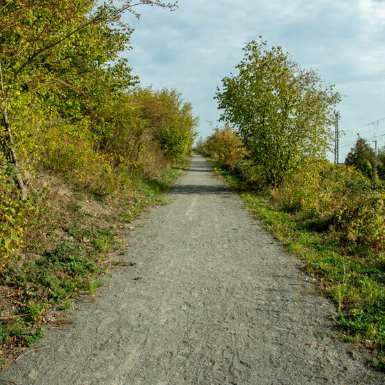 Spazierweg am Standort Osnabrück
